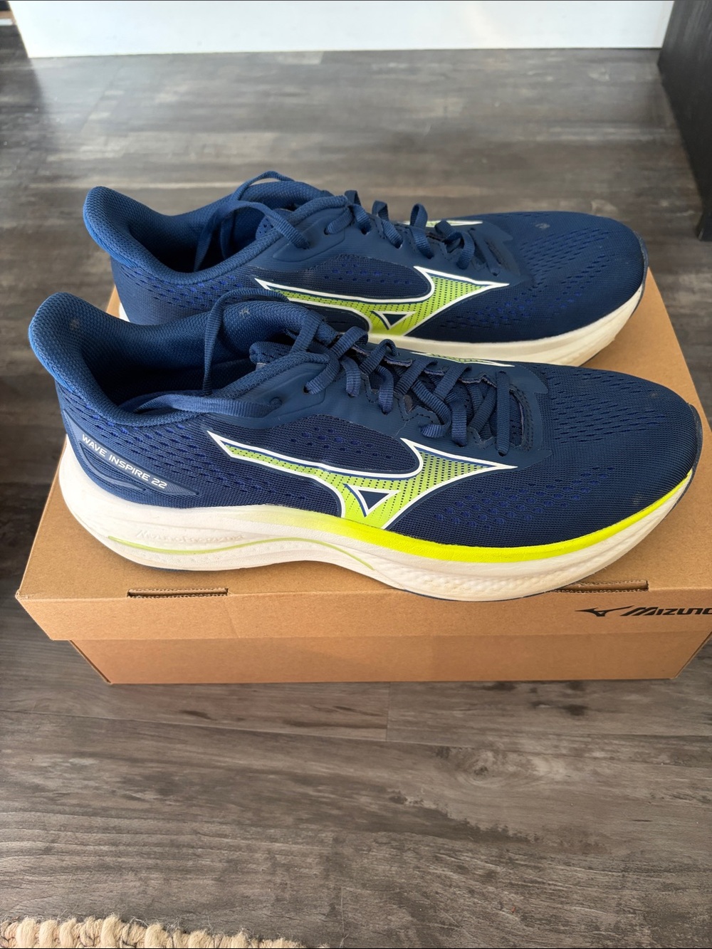 Mizuno wave inspire 22